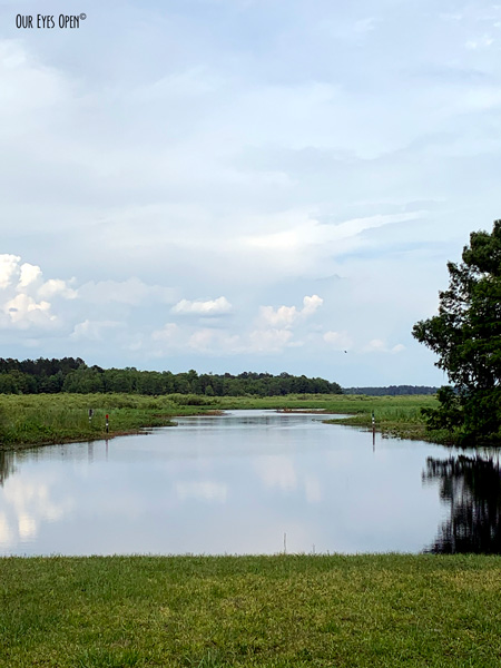 The view of where to launch a boat to explore Lake Ocklawaha near Orange Springs, Florida.