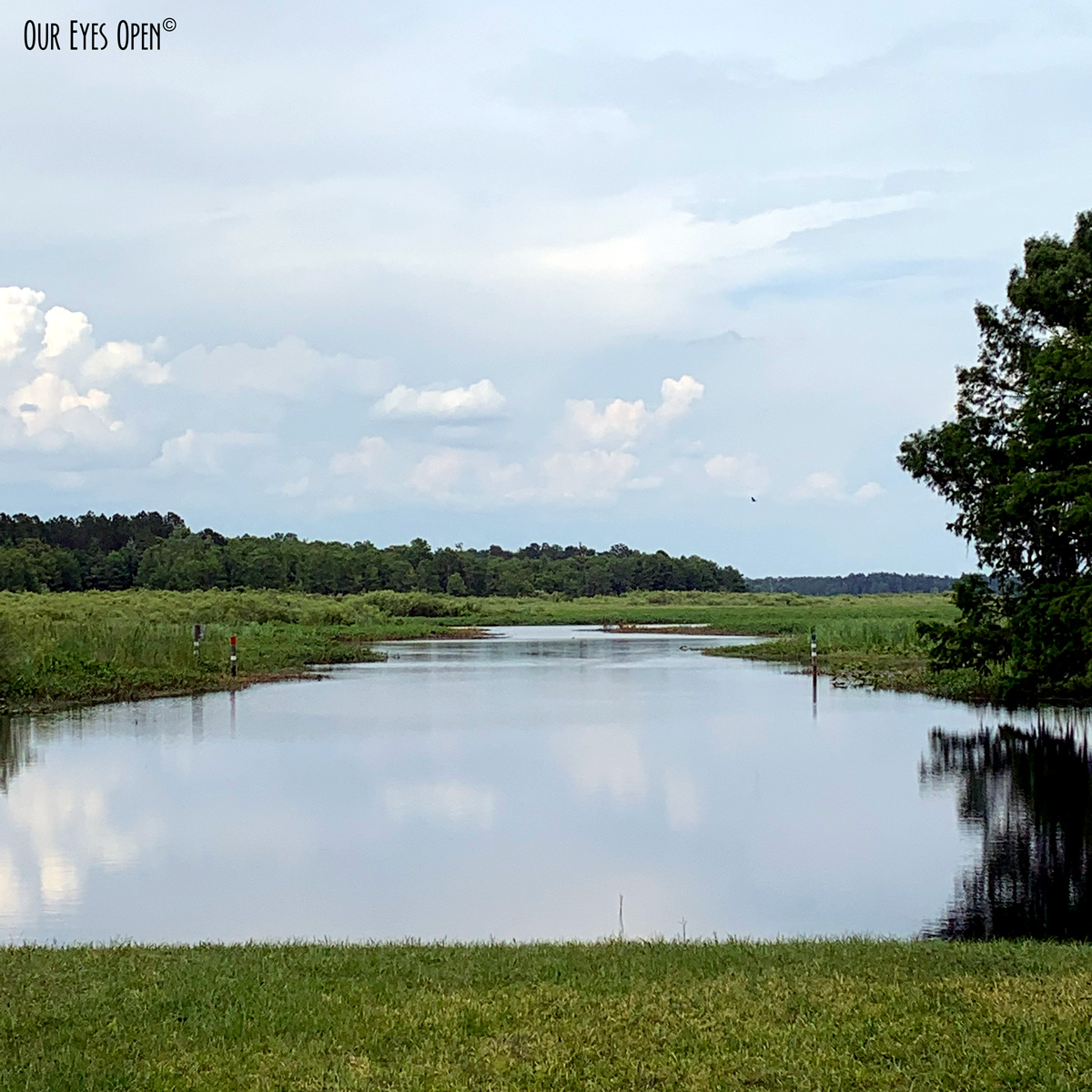 Water Water Everywhere #78 – Greenway