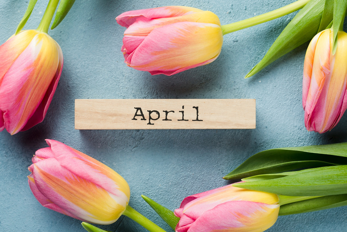 Last Photo – April 2021